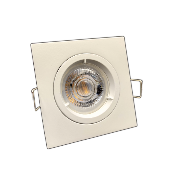 DLT_07_WB